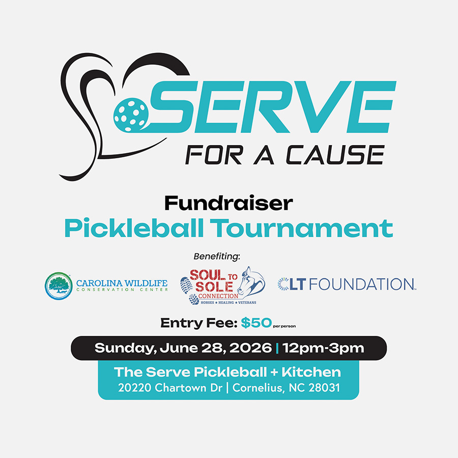 Serve for a Cause Fundraiser: Pickleball Tournament